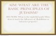 AIM: WHAT ARE THE BASIC PRINCIPLES OF JUDAISM?northsidechirico.weebly.com/uploads/2/3/1/8/23187026/judaism.pdf · BASIC PRINCIPLES OF JUDAISM? DO NOW: What is the eightfold path?