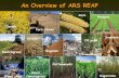 An Overview of ARS REAP REAP Presentation.pdfPresentation Outline. The REAP Vision, Goals, and Focus. REAP Activities and Partnerships. Literature evaluations. ... Monsanto, Mendel,
