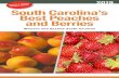 Yecipes inside! South Carolina’s Best Peaches and Berries...Tree ripened peaches, strawberries, watermelons, cantaloupes, peanuts (boiled and roasted), jams, jellies, pickles, salsas,
