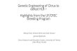Genetic Engineering of Citrus to defeat HLB – Highlights ... · Genetic Engineering of Citrus to ... Breeding Program . Key Points from our transgenic research: • UF-CREC Breeding