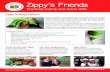 Zippy knitting pattern - partnershipforchildren.org.uk · Zippy knitting pattern Zippy is knitted in the round from the head down to his tail, using double pointed needles. You could