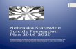 Nebraska Statewide Suicide Prevention Plan 2016-2020dhhs.ne.gov/Behavioral Health Documents/Nebraska Suicide... · 2019. 3. 30. · Suicide Prevention Plan 2016-2020 This plan provides