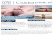 RESPECT Life is too precious!RESPECT LIFE MONTH Life is too precious! What does our faith teach? This week's theme "Human life must be respected and protected absolutely from the moment