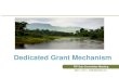 Dedicated Grant Mechanism - Climate Investment Funds · Final revision/agreement on Operational Guidelines expected end May 2013 Global Executing Agency - Competitive Selection process