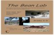 The Bean Lab · The Bean Lab An exploration of the Flagstaff Area National Monuments, through an agricultural experiment. Walnut Canyon, Sunset Crater Volcano, and Wupatki National