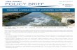 TOWARDS A WORLD FREE OF UNTREATED WASTEWATER - UNU … · 2019. 3. 22. · Box 1. Vulnerable segments of population suffer in areas irrigated with raw wastewater A study investigating