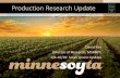 Production Research Update...Aim 1: Identify biologically derived nematicidesand anti-fungal compounds No SDS control SDS treatment alone SDS + 407B13.1 seed treatment Aim 2: Greenhouse