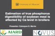 Estimation of true phosphorus digestibility of soybean meal is … · 2019. 11. 16. · Isaac Asimov (1974) Presented by: Colwayne Morris cdmvhd@mail.missouri.edu. Title: PowerPoint