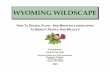 WYOMING WILDSCAPE · 2019. 12. 19. · WYOMING WILDSCAPE HOW TO DESIGN, PLANT, AND MAINTAIN LANDSCAPING TO BENEFIT PEOPLE AND WILDLIFE Compiled by: Andrea Cerovski Wyoming Game and