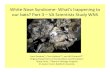 White Nose Syndrome-What’s happening to our …...White Nose Syndrome-What’s happening to our bats? Part 3 –VA Scientists Study WNS Carol Zokaites*, Chris Hobson**, and WilOrndorff**