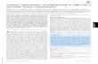 Genomic determinants of pathogenicity in SARS-CoV-2 and ... · 6/9/2020  · Genomic determinants of pathogenicity in SARS-CoV-2 and other human coronaviruses Ayal B. Gussowa,1 ,
