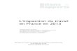 Rapport IT 2013 (éditon 2014) - Ministère du Travail · 2015. 1. 8. · L'inspection du travail en France en 2013 Ministère du Travail, de l’Emploi, ... ou dans la redynamisation