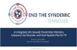 END THE SYNDEMIC...2020/04/27  · Amber Coyne, MPH End the Syndemic Coordinator ENDING THE HIV EPIDEMIC ACROSS THE U.S. EHE plans across the nation Phase one jurisdictions identified