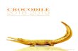 2018-2019 - Crocodile · CROCODILE GARMENTS ANNUAL REPORT 2018-2019 Crocodile Garments Limited was first listed on the Hong Kong Stock Exchange in 1971. It owns several fashion labels