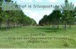 What is Silvopasture? - Virginia Cooperative Extension ......soil, site conditions and tree species two crops competing for the same resources (light, water, nutrients) can more efficiently
