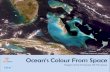 Coral reefs of Bahamas, Atlantic Ocean Ocean’s Colour ...Ocean’s Colour from Space : Images from Oceansat OCM sensor 2018 Published by Indian Institute of Remote Sensing (IIRS)