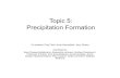 Topic 5: Precipitation Topic theme The aim of Topic 5 is to examine ice processes involved in precipitation