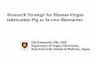 Research Strategy for Human Organ fabrication-Pig as In vivo ...organfabri.med.keio.ac.jp/Aachen Lecture(19th, March 2018...Research Strategy for Human Organ fabrication-Pig as In