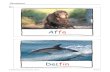 Delfin - ABC der Tiere:  · 2016. 9. 7. · Tiernamen © Mildenberger Verlag · Bestell-Nr. 2405-71 Tiernamen Affe Delfin. Tiernamen © Mildenberger Verlag · Bestell-Nr. 2405-71