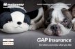 GAP Insurance...Thanks for choosing MotorEasy, the UK’s most dynamic motoring solution. This booklet is designed to give you more detail about your GAP Insurance policy, and explains