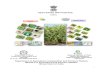 AESA BASED IPM PACKAGEMinistry of Agriculture and Farmers Welfare Government of India AESA BASED IPM PACKAGE 2 The AESA based IPM – Lentil was compiled by the NIPHM working group