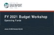 FY 2021 Budget Workshop - cityofdavenportiowa.com...› CIP Summary Report › CIP Detail Pages. 5. FY 2019 Year-End Summary ... Riverfront Improvement Fund ... - Any projects or expenditures
