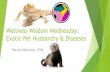 Wellness Wisdom Wednesday: Exotic Pet Husbandry & Diseases000dlau.myregisteredwp.com/wp-content/uploads/...Exotic Pet Husbandry & Diseases Patrick Morrison, DVM. ... • Mazuri Hi