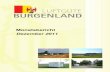 Monatsbericht Dezember 2011 - Burgenland · 2014. 2. 3. · Monatsbericht Dezember 2011 1 Monatsbericht Dezember 2011 der an den Luftgütemessstellen des Burgenländischen Luftgütemessnetzes