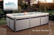 Your Space. Your Pace. - HotSpring · 2020. 2. 19. · In 2015, Endless Pools was acquired by Watkins Wellness, the world’s leading maker of hot tubs. Endless Pools Fitness Systems
