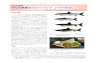さけます情報 サケ科魚類のプロファイル-17 レイクトラウトsalmon.fra.affrc.go.jp/kankobutu/srr/srr013_p51-53.pdfSALMON情報 No. 13 2019年3月 51 さけます情報