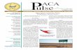 SUMMER 2020 2020 PACA Pulse.pdf · 2 days ago · States and New Mexico. 4. Promote professional relationships and understanding among the members of PACA. 5. Promote and facilitate