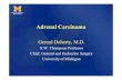 N.W. Thompson Professor Chief, General and Endocrine ... 2006/adrenals/Doherty.pdf · Adrenal Carcinoma Gerard Doherty, M.D. N.W. Thompson Professor Chief, General and Endocrine Surgery