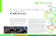 Electrochlorination Systems CECHLO · 2018. 2. 14. · Electrochlorination systems use a simple and straight forward process, combining three common consumables (salt, water and electricity)