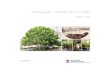 Tree Masterplan - The Rocks and Circular Quay...Tree Masterplan for The Rocks and Circular Quay Sydney Harbour Foreshore Authority 27 • The Rocks and Circular Quay precinct is divided