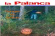TempsTemps de bolets la Palanca OCTUBRE-NOVEMBRE 2002 Núm. 247 Preu 2 PUBLICACIÓ D™ARTESA DE SEGRE I COMARCA