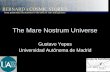The Mare Nostrum Universe - Rijksuniversiteit Groningenbernard60/presentations/talks/yepes...The MareNostrum Universe TREEPM+SPH simulation ΛCDM model (WMAP1) • 500/h Mpc3 volume