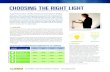 CHOOSING THE RIGHT LIGHT...CHOOSING THE RIGHT LIGHT LIGHT BUYING GUIDELINES FROM UC DAVIS PROFESSOR MICHAEL SIMINOVITCH 1. PURPOSE In the lighting industry, light bulbs are called
