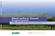 Public Disclosure Authorized BioCarbon Fund Experience...After, 2010 (front cover) Before, 2005 (title page) Images courtesy of World Vision BioCarbon Fund Experience Insights from