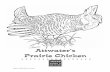 Attwater’s Prairie Chicken - Texas5. Using the table above, calculate the average change in prairie chicken numbers between 1985 & 1996. 6. If biologists and land managers are able