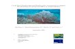 Coral Reef Monitoring and Biodiversity Assessment to support ...blueventures.org/wp-content/uploads/2015/03/coral-reef...Ecological monitoring of coral reefs and associated systems