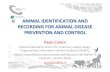 ANIMAL IDENTIFICATION AND RECORDING FOR ANIMAL … · National Reference Centre for Veterinary Epidemiology, ... epidemiological data, in order to generate ... I&R) system as well