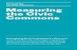 Measuring the Civic Commons · 2018. 1. 26. · Measuring the Civic Commons Reimagining the Civic Commons is a three-year, national initiative that seeks to foster engagement, equity,