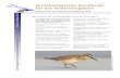 Ornithologischer Rundbrief für das odenseegebiet · 2014. 4. 2. · Ornithologische Arbeitsgemeinschaft odensee Ornithologischer Rundbrief für das odenseegebiet Nr. 211 / März