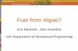 Fuel from Algae? - Class Home Pages - UWEE...2008/11/06  · Fuel from Algae? Ann Mescher, John Kramlich UW Department of Mechanical Engineering Transportation fuel market and emissions