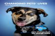 CHANGING PETS LIVES · 2020. 8. 4. · homeless pets since 1897. Pets help us in so many ways and they depend entirely on us. That s why at Blue Cross we believe in helping pets because