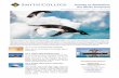 Journey to Antarctica: the White Continent · 2014. 9. 11. · Journey to Antarctica: the White Continent Aboard National Geographic Explorer | Nov 27 – Dec 10, 2015 . Glide around