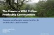 Harenna Wild Coffee Producers’ Community · 2014. 11. 7. · • Harenna is an extensive natural forest area, the potential for producing wild coffee is vast. • From communities