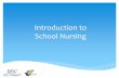 Introduction to School Nursing · RN: An RN signature is required on all care plans. ∗ LHP: Indicates accuracy to assure plan is what LHP expects. Required if medications or treatments