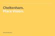 Cheltenham. Place Vision. · to jobs We must ensure Cheltenham offers affordable, accessible, secure housing that can support the growth in employment. Community Our vision is that
