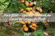 Pará 2030 Cadeia Produtiva do Cacau no Estado do Pará. · Pará 2030 –Cadeia Produtiva do Cacau no Estado do Pará. Fonte: IBGE/Idesp, 2012 PARÁ: Macro - objetivos da Política